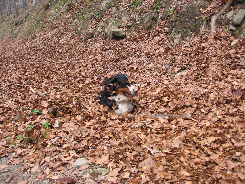 Foto: JESSIE Z HODOLAN-Hra v lupen�