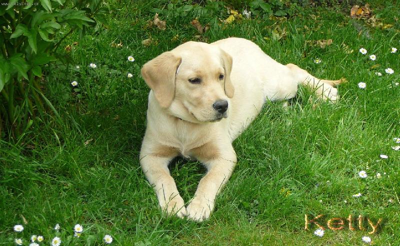 Foto: B�ra a jej� holka KETTY-u nov� pani�ky