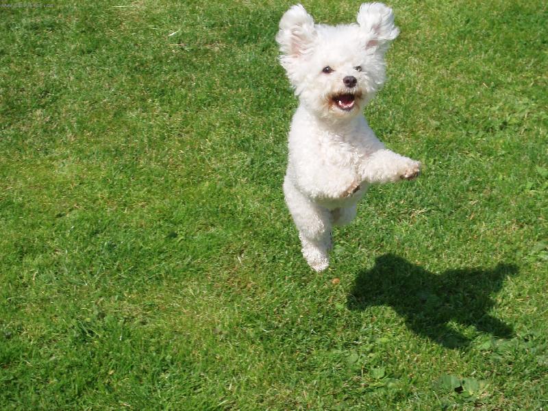 Foto: L�taj�c� Anne :-)