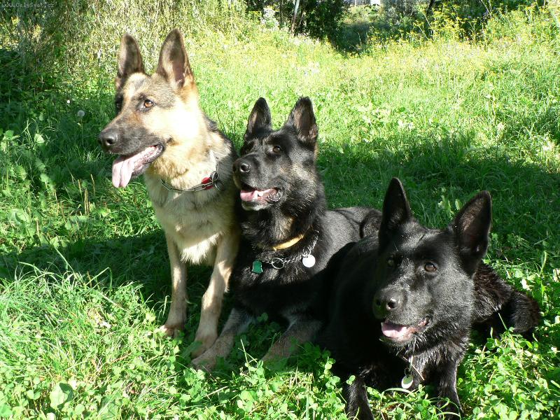 Foto: Rodina-mama a jej dve dc�ry-Bigga,Gera a Ara