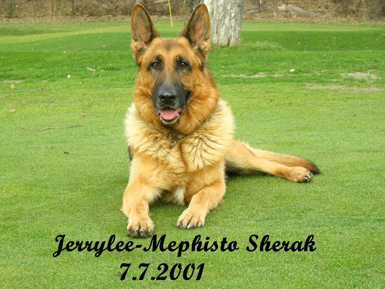 Foto: Jerrylee-Mephisto Sherak-tady m� m�te