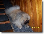 Schody - m�j nep��tel