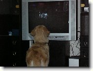 Nekoukej po��d na tu televizi.