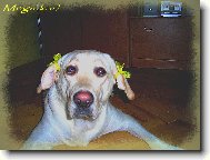 Meginka s cul��kama:))