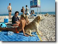 S pani�kou na dovolen�