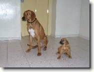 T�ta a dcera - Gucci a Barunka