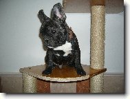 Zamy�len� Ed�k