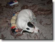 Je�t� Agnes ale tentokr�t jako and�lek