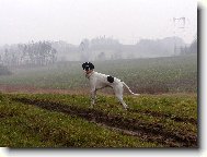 Snoopy 8 m�s�c�