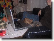 To v��n� surfov�n� po internetu docela unav�:o\\)