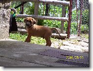 na�e �t�n�tko endy