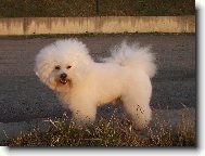 Andy z �erven�ch roklin