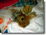 M�j mazl��ek Oliver :-))