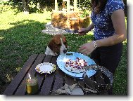 j� chci taky dort��ek