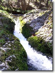 Bob�� sout�ska