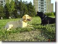 B�ra s kamar�dem