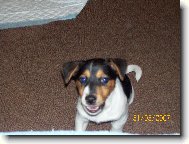 na�e �t�n�-EBI