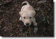 Moje  mulo malink�