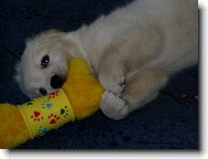 moje hra�ka...vrrrr