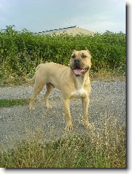 Rony 17 m�s�c�