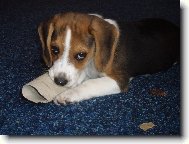 Na�e kr�sn� Skanky