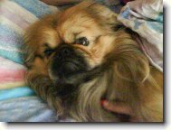 Max�k v na�� posteli!!