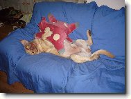 Neboj,nikomu t� ned�m