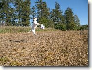 ......a je�t� jedna fotbalov� :)