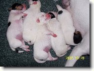 Spink�me a jsme spokojen�