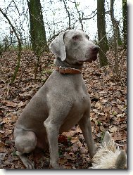 Kary z Roketn�k�