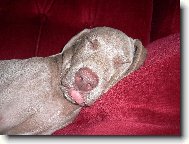 p�kn� se n�m spink�