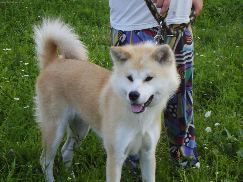 Foto: tak co libim se vam!