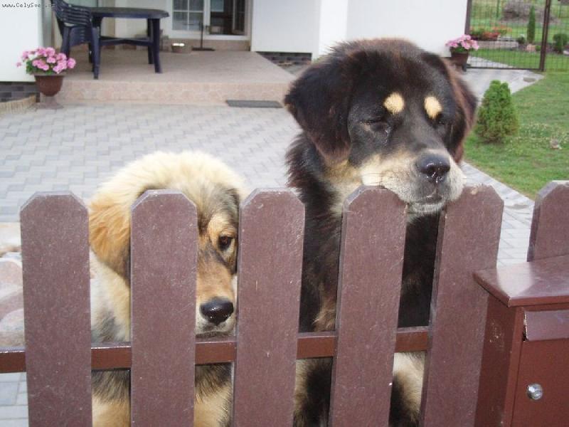 Foto: Holky hl�da�ky