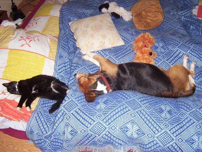 Foto: poctiv� sp�nek