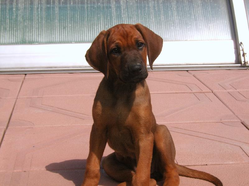 Foto: To jsem cel� J�-Sally