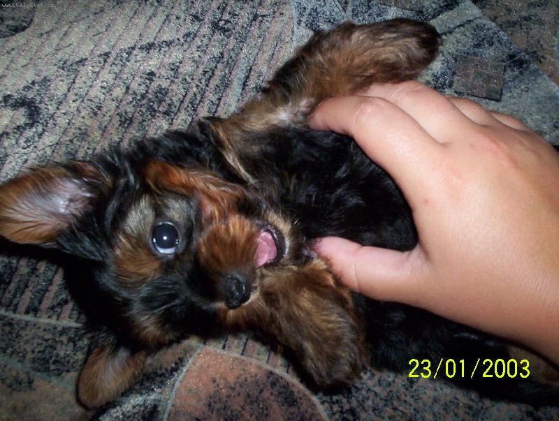 Foto: Mat�sek-s pani�kou je sranda