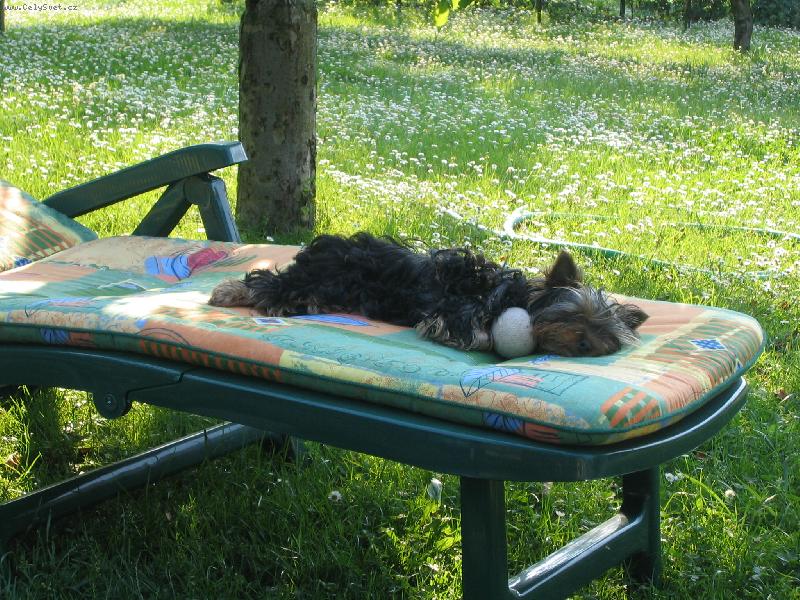 Foto: Unaven� Dorinka