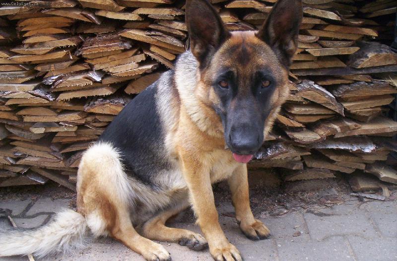 Foto: Co na m� tak �u��?-:)