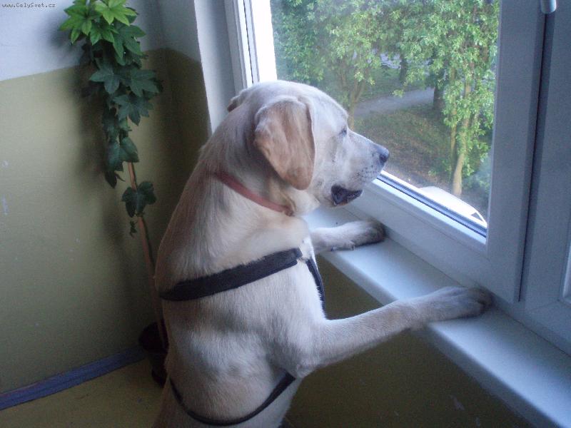 Foto: SAM-jak je venku