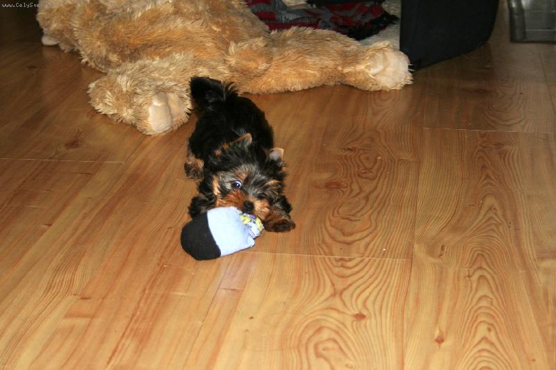 Foto: Lady-Jsem hrav� a drav�