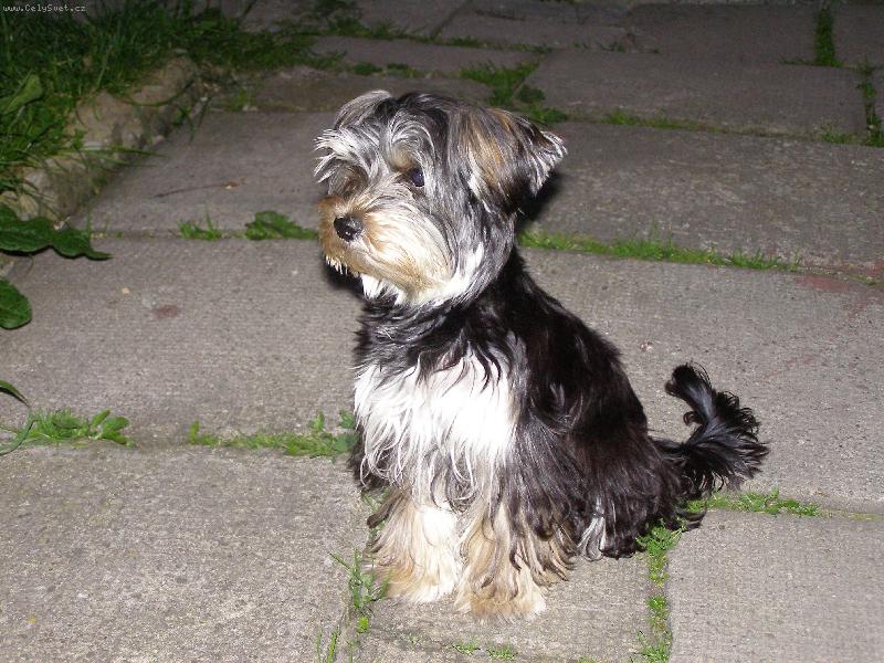 Foto: Megi-mohla bych byt modelka :-)