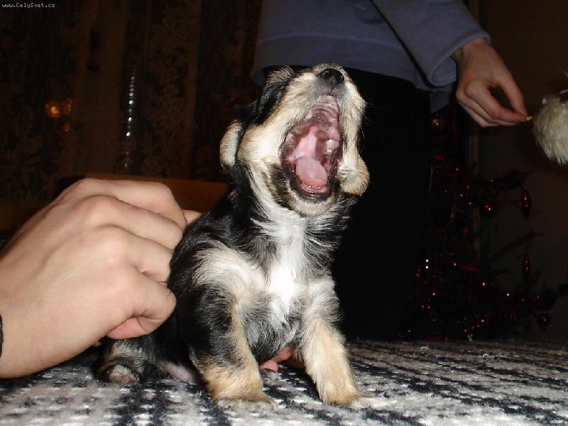 Foto: Megi-ze mn� bude velk� sp��