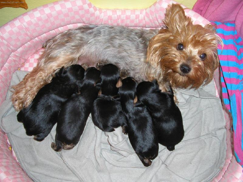 Foto: Peggynka py�n� m�ma !!