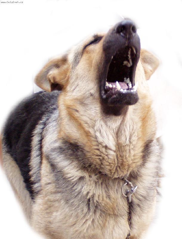 Foto: Takhle hl�d�m p�n��ky;o)