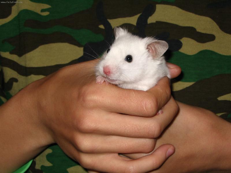 Foto: LENNY-Ahojky!!