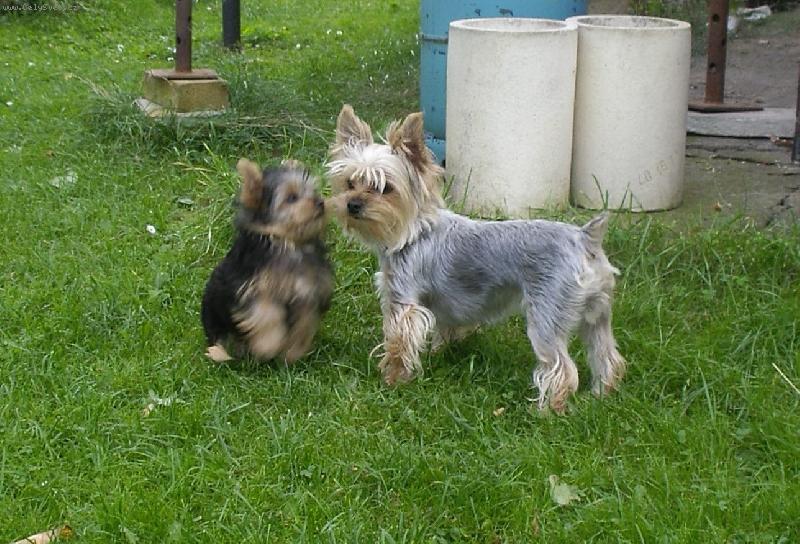 Foto: Maminka s Ad�-Maminka s Ad�