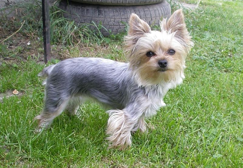 Foto: �mudlinka-�mudl�k