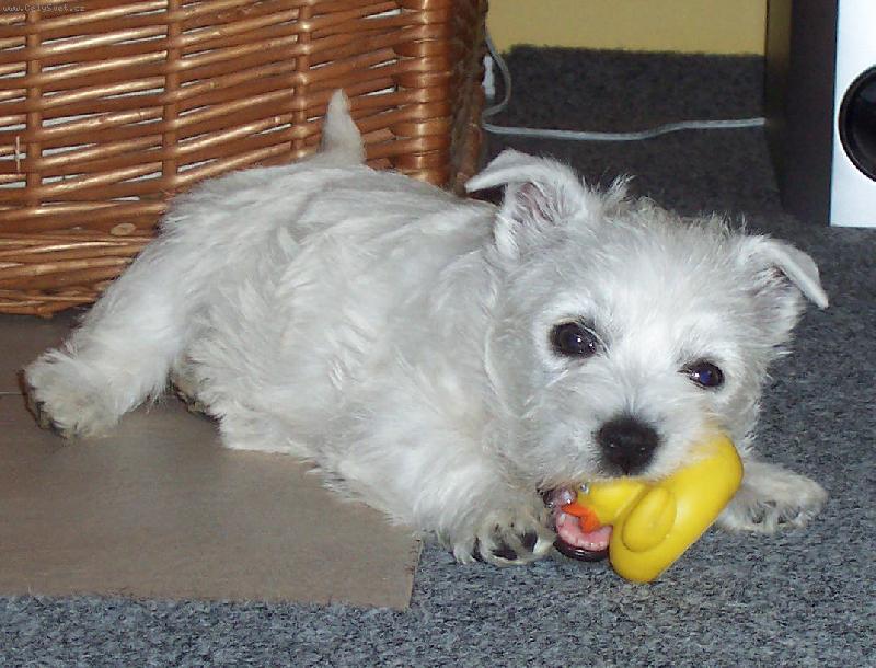 Foto: N� mil��ek Ejmi