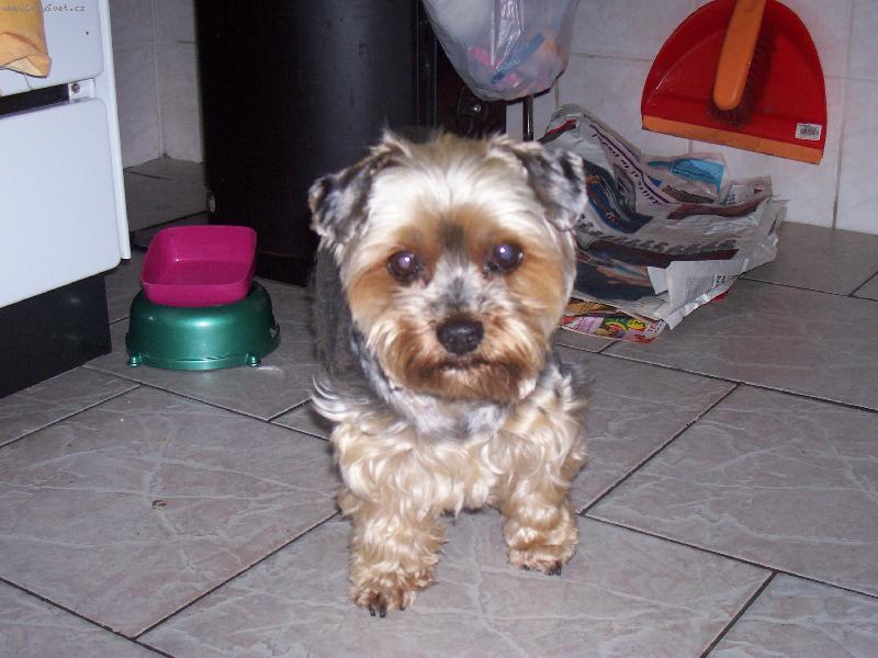 Foto: Kendy-Up��mn� o�i...