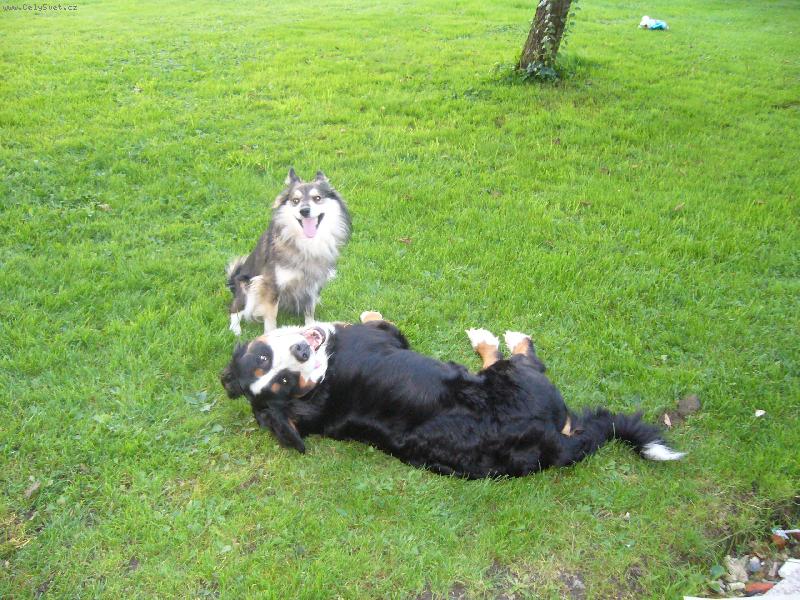 Foto: Malina a Bur�k